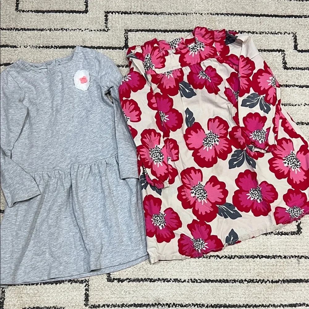 Bundle of Carter's dresses